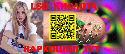 крисы Аргун