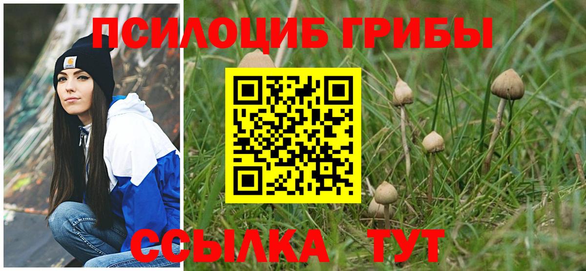 Псилоцибиновые грибы прущие грибы Балаково