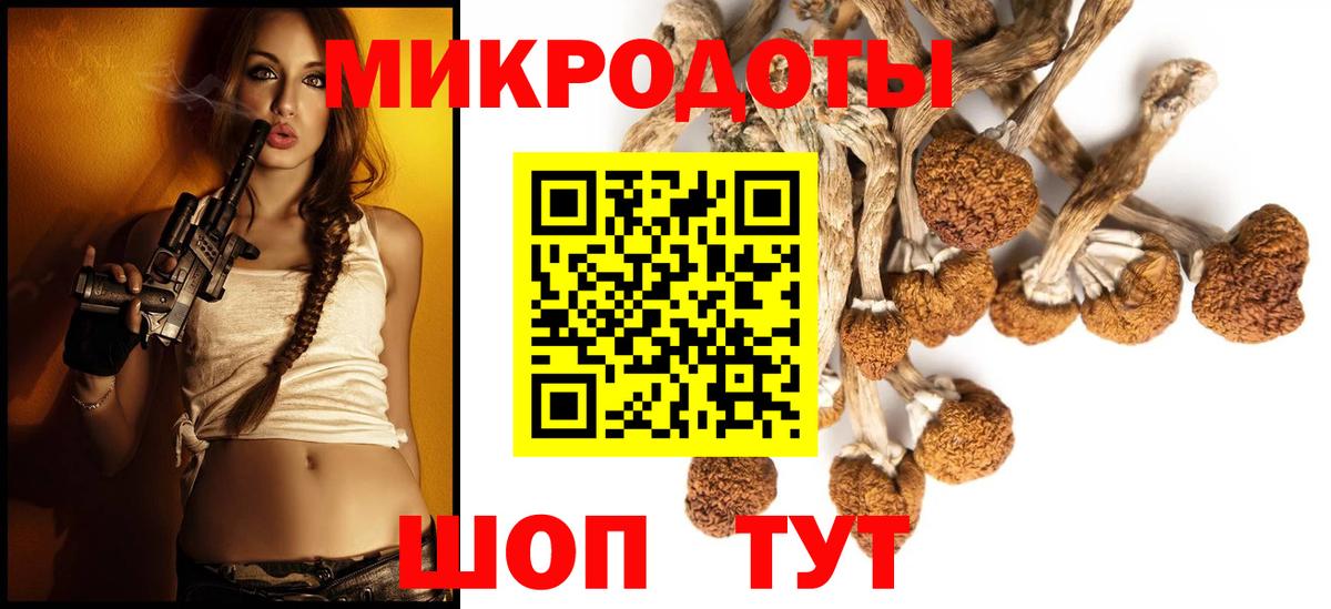 Галлюциногенные грибы GOLDEN TEACHER  Вход с VPN  Псилоцибиновые грибы прущие грибы  Балаково 
