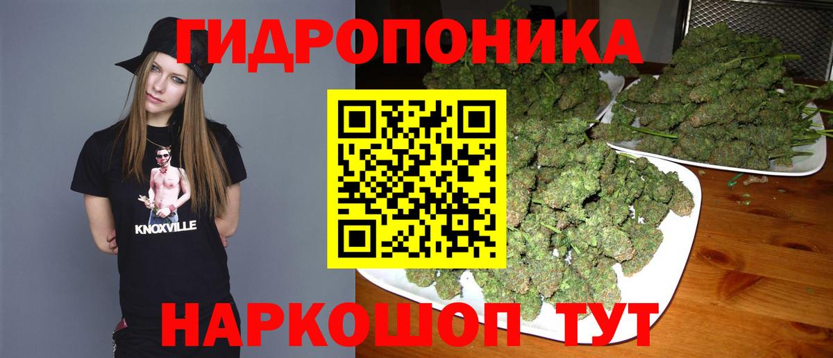 Конопля Ganja Балаково